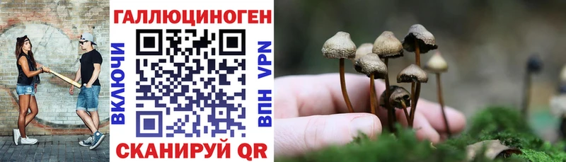 hydra   Южно-Сухокумск  Галлюциногенные грибы GOLDEN TEACHER 